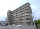 インプルーブKKの間取り画像