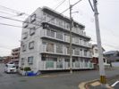 シャトレ上の原の外観