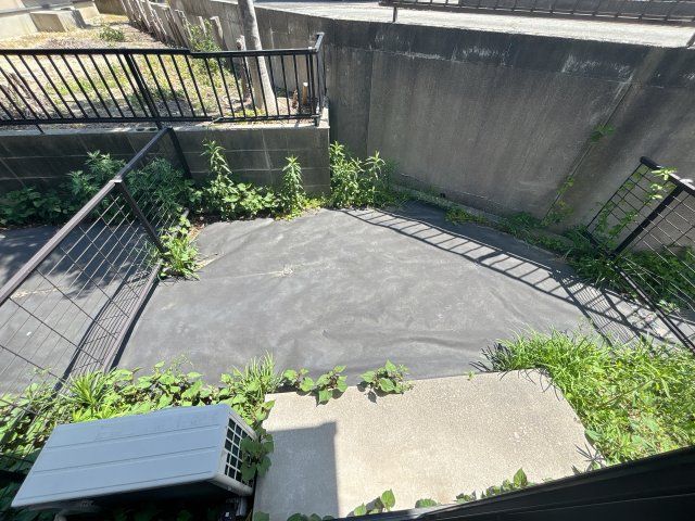 庭