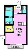 メゾンMCの間取り画像