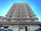 ONE ROOF FLAT TENJINBASHIの間取り画像