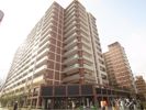 MJR六本松の間取り画像