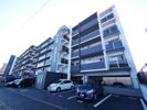 ニューガイア下曽根の間取り画像