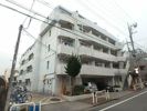 TOP成増No．1の間取り画像