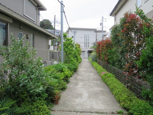 庭