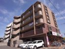 パインテール室見の間取り画像