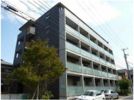 ドミール妙典の間取り画像