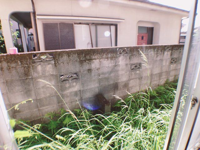 庭