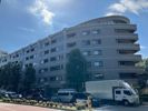 NK青山ホームズの間取り画像