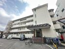 マンション光の間取り画像