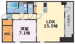 スクリブコート天神南の間取り画像