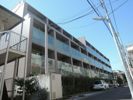 日神デュオステージ荻窪の間取り画像
