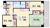 カナル兵庫の間取り画像