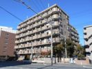 リアライズ市川原木の間取り画像