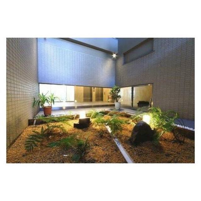 庭