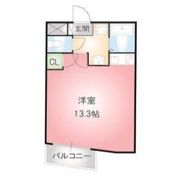 THUマンションの間取り画像