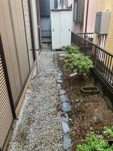 庭