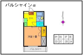 パルシャインαの間取り画像