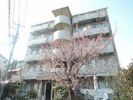 アドレ志茂の外観