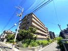 アーデンコート住吉川の外観