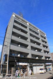 ゴールドクレストの外観画像