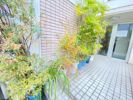 マンションシバタの間取り画像