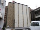 プラムガーデン大橋プレイスの間取り画像
