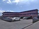 カウル湊の間取り画像