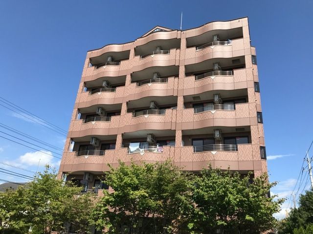 シュノンソーの外観画像