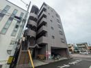 セレニテ本町の間取り画像