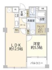 グランドメゾン吉祥寺の間取り画像