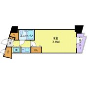 日神パレステージ護国寺の間取り画像