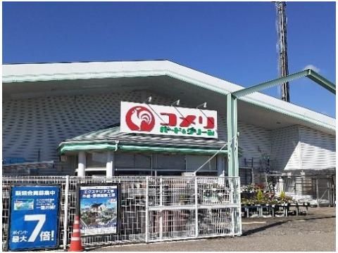 コメリ大沢野店まで1100m