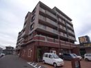 ドミール シャトーの間取り画像