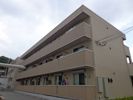 グレースシャトーの間取り画像