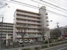 スタディハイツIIの間取り画像