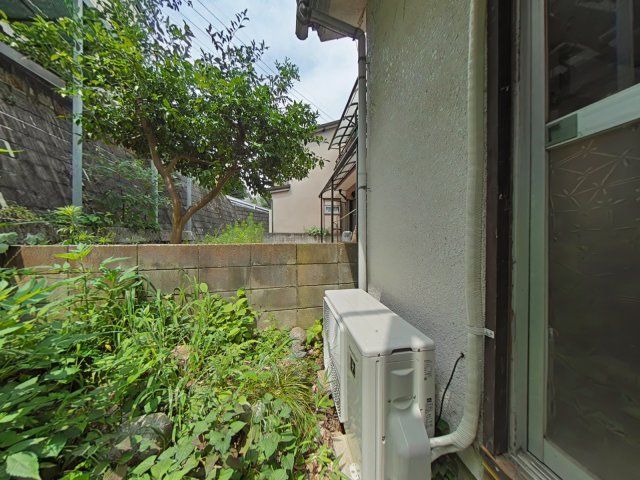 庭