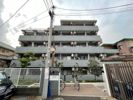スカイコート練馬の間取り画像