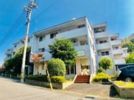 メゾンドグラースの間取り画像
