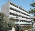 ライジングプレイス綾瀬の間取り画像