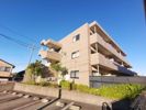 レージュ吉根の間取り画像