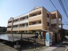 ロイヤルシャトー片山の間取り画像