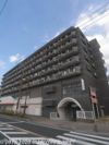 ピジョン田園の間取り画像