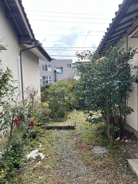 庭