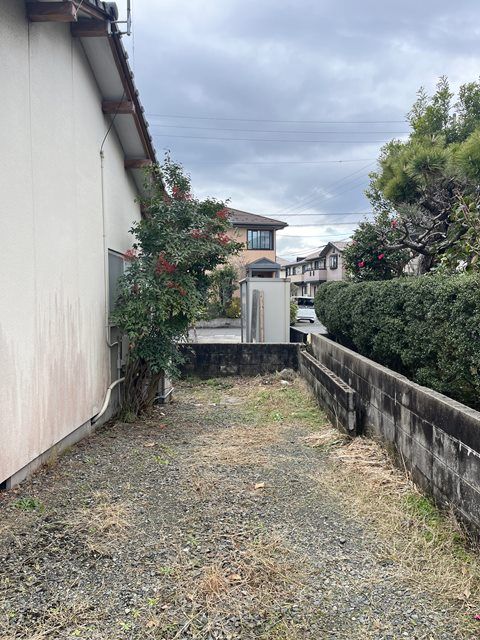 庭