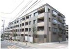 フューズ・コート175 【近隣業者様へ鍵取り（営業時間 / 10:00～19:00 ※定休日：毎週水曜）】の間取り画像