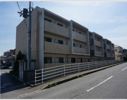 Radier MARU.T(ラディエマルタ)の間取り画像