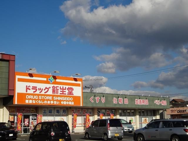 ドラッグ新生堂／中間中尾店 (413m)