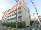 イプセ蒲田Ⅲの間取り画像