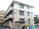 プランドール市川の間取り画像